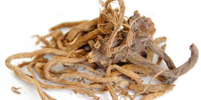 A root decoction